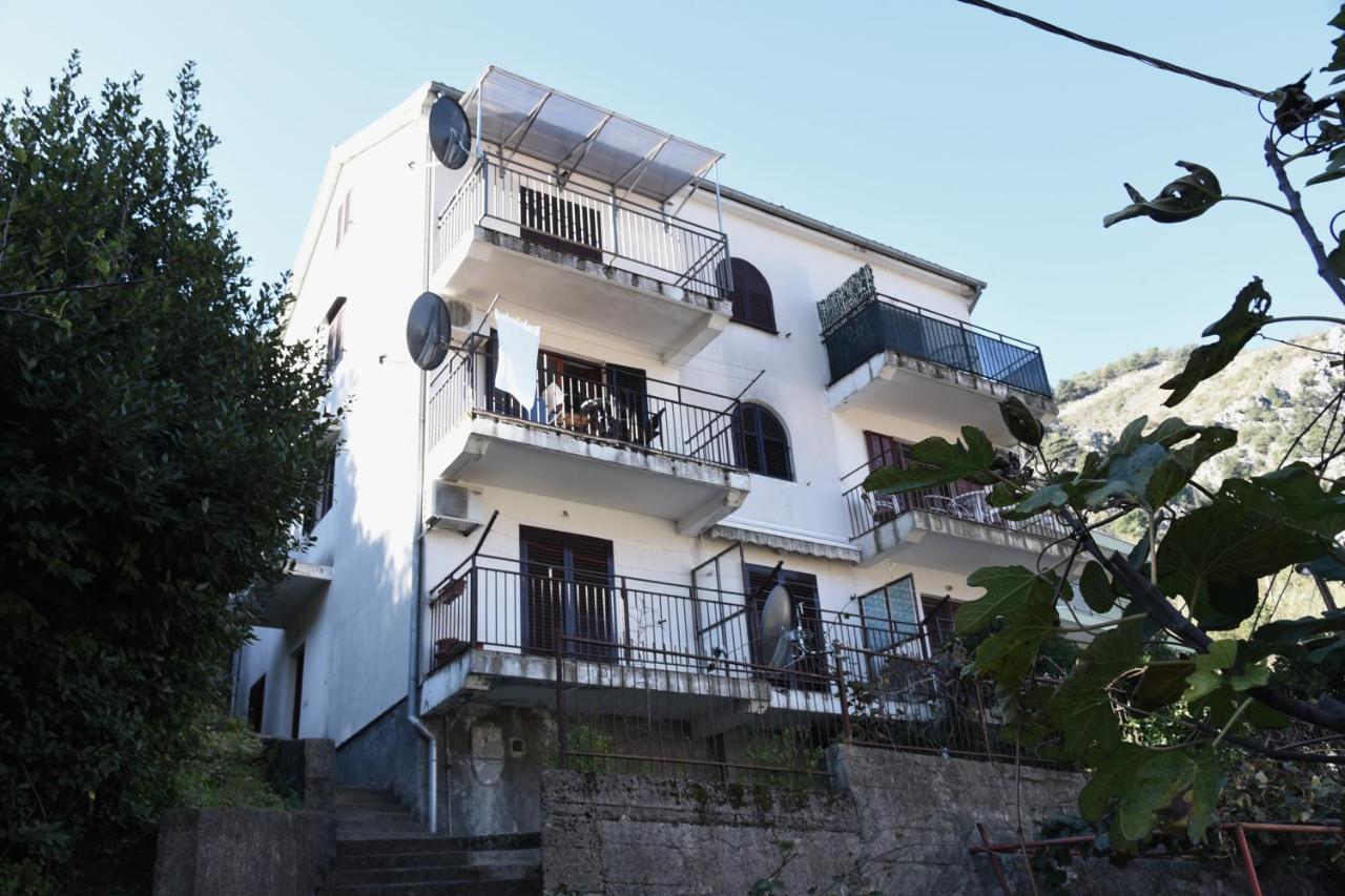 Apartment Lima Kotor Exteriör bild